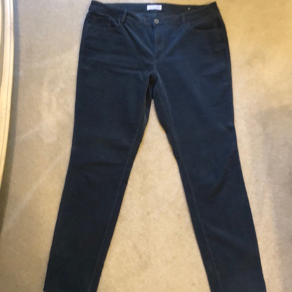 Loft Curvy Cords
